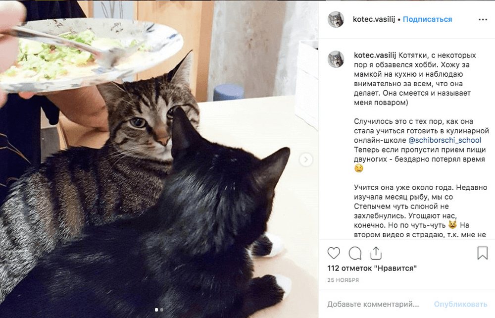 Пост ученицы школы ЩиБорщи в Instagram с блюдом, приготовленным по курсу